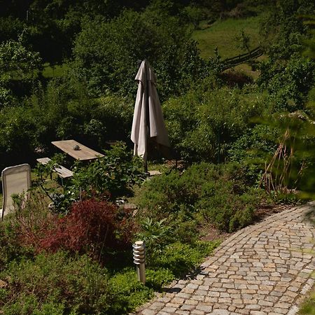 Haus Am Berzdorfer See - 3 Schlafzimmer - Ganzes Haus Zur Alleinnutzung - Terrasse - Hochwertige Ausstattung Görlitz Zewnętrze zdjęcie