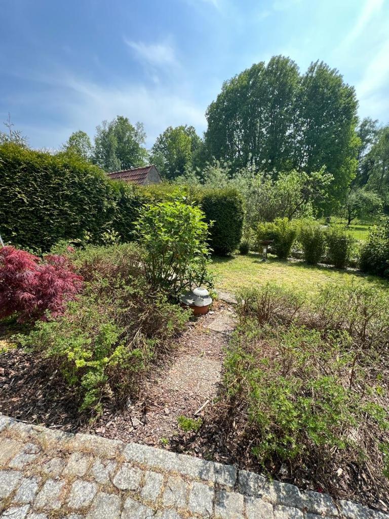 Haus Am Berzdorfer See - 3 Schlafzimmer - Ganzes Haus Zur Alleinnutzung - Terrasse - Hochwertige Ausstattung Görlitz Zewnętrze zdjęcie