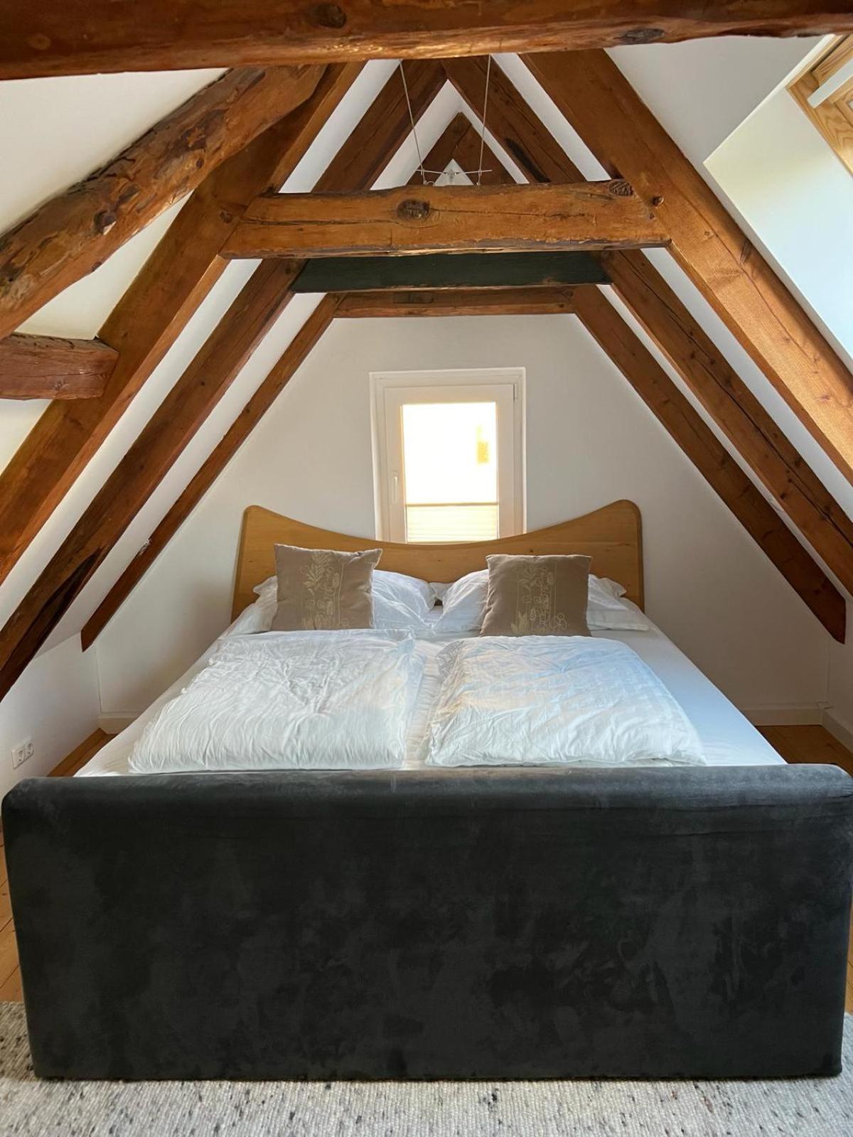 Haus Am Berzdorfer See - 3 Schlafzimmer - Ganzes Haus Zur Alleinnutzung - Terrasse - Hochwertige Ausstattung Görlitz Zewnętrze zdjęcie