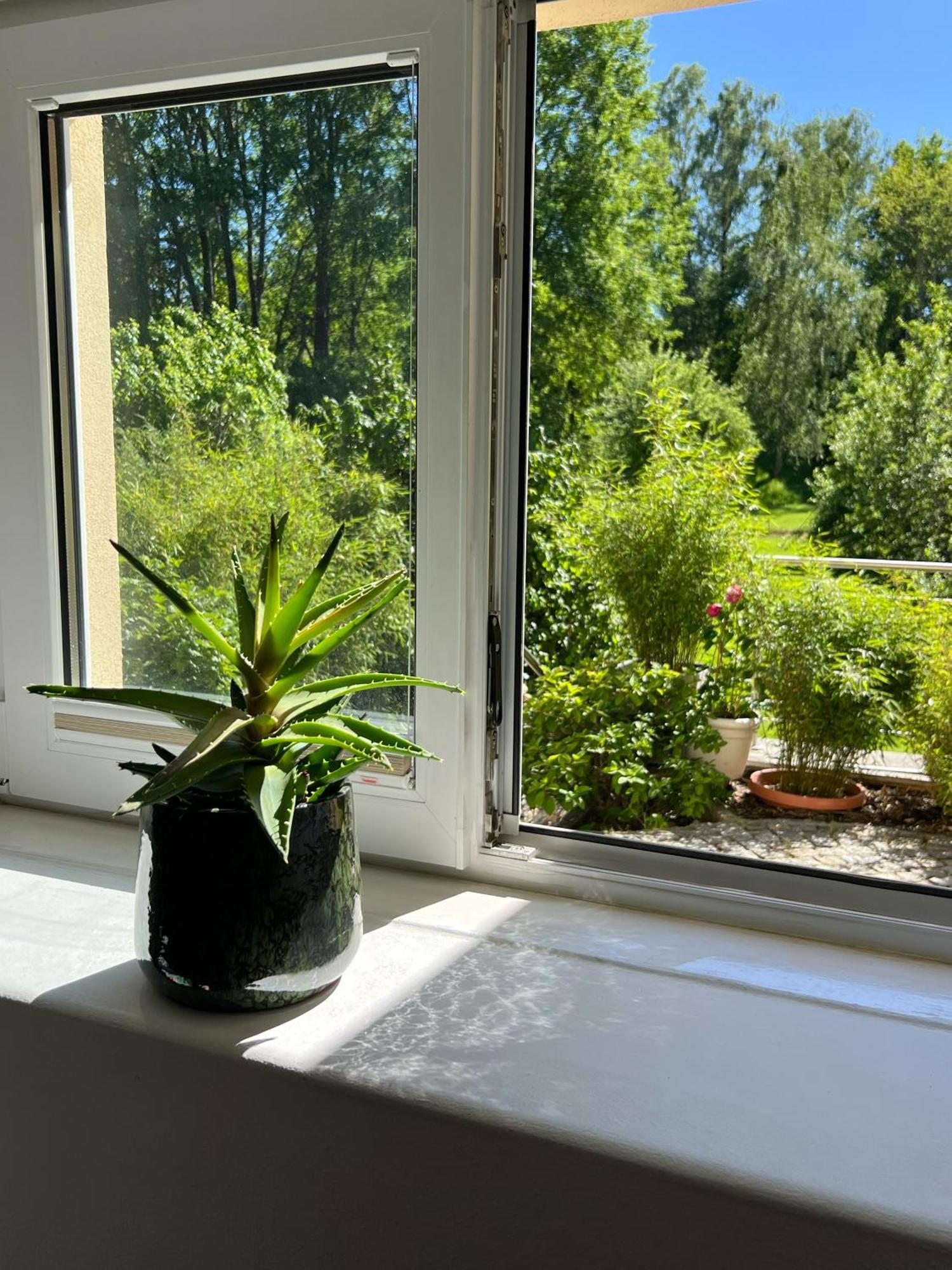 Haus Am Berzdorfer See - 3 Schlafzimmer - Ganzes Haus Zur Alleinnutzung - Terrasse - Hochwertige Ausstattung Görlitz Zewnętrze zdjęcie